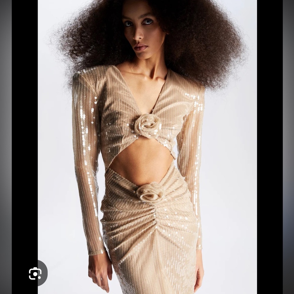 The New Arrivals by Ilkyaz Ozel Aurora Sequin Dress